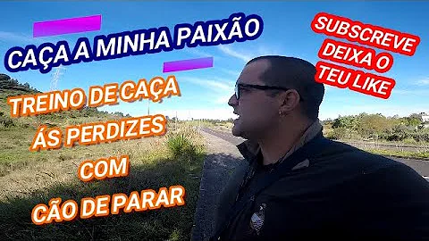 Como ensinar um cachorro a caçar perdiz?