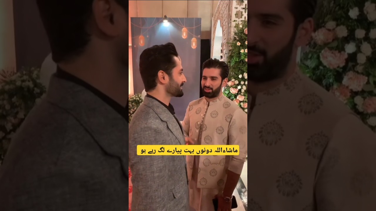 Muneeb Butt and Danish Taimur