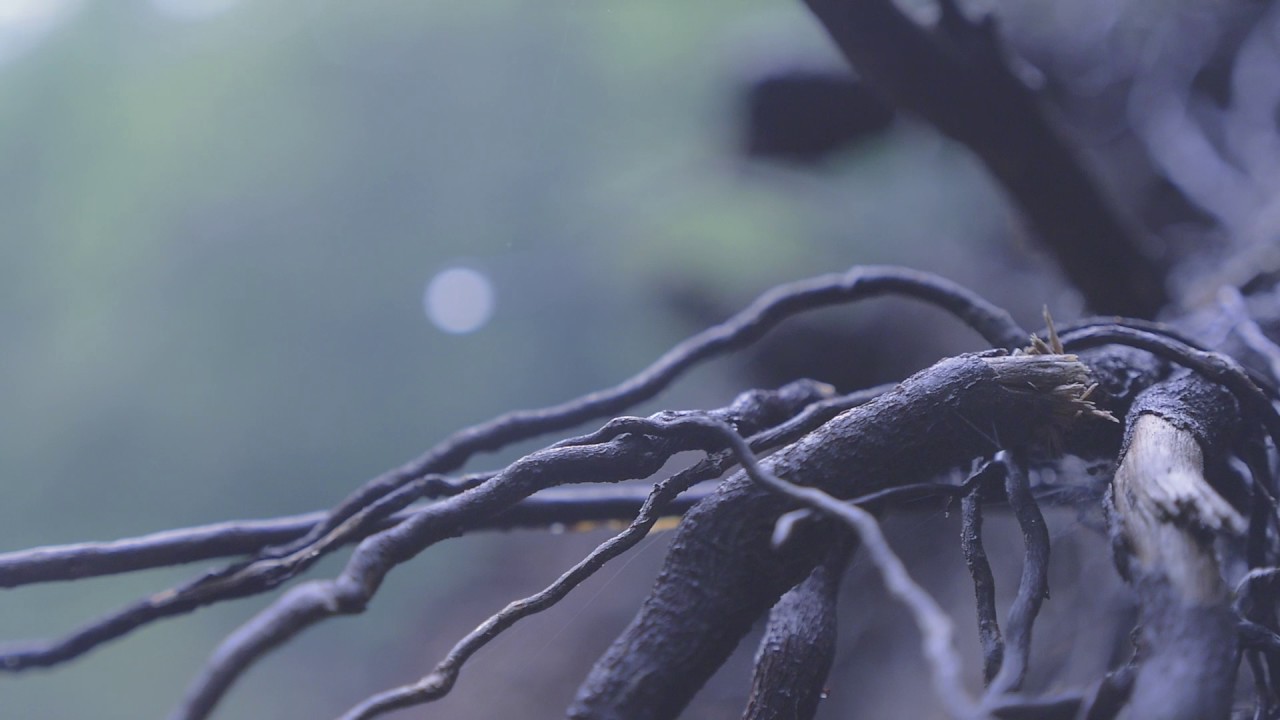 Wasserwerks Park Chemnitz