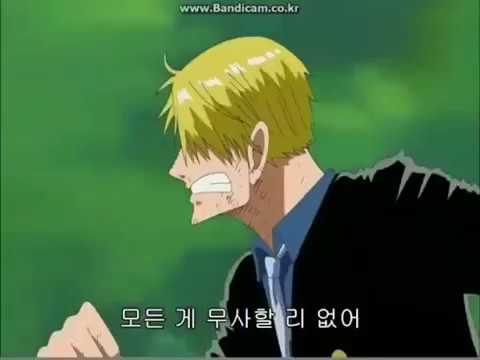 [원피스] 상처투성이 조로