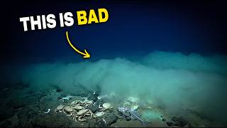 The Ocean Layers That Kill Without Touching You