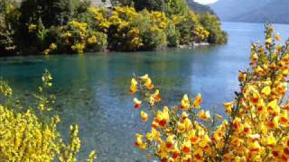 Villa La Angostura - San Martin de los Andes Dic. 2009 (when love takes over - David Guetta)