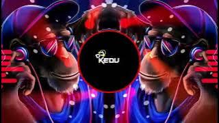 JAWANI JANEMAN EDM REMIX x DJ SUBHAM K   X UNRELEASED SOUNDS X DJ KEDU