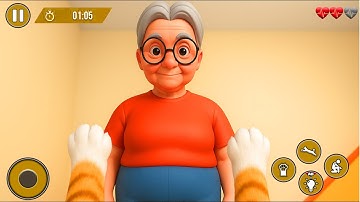 Grandma Cat Prankster & Chaos Part 4 | Funny Cat Prank Game | Android Gameplay