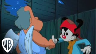 Steven Spielberg Presents Animaniacs | Wakko's Wish - Pip | Warner Bros. Entertainment screenshot 4