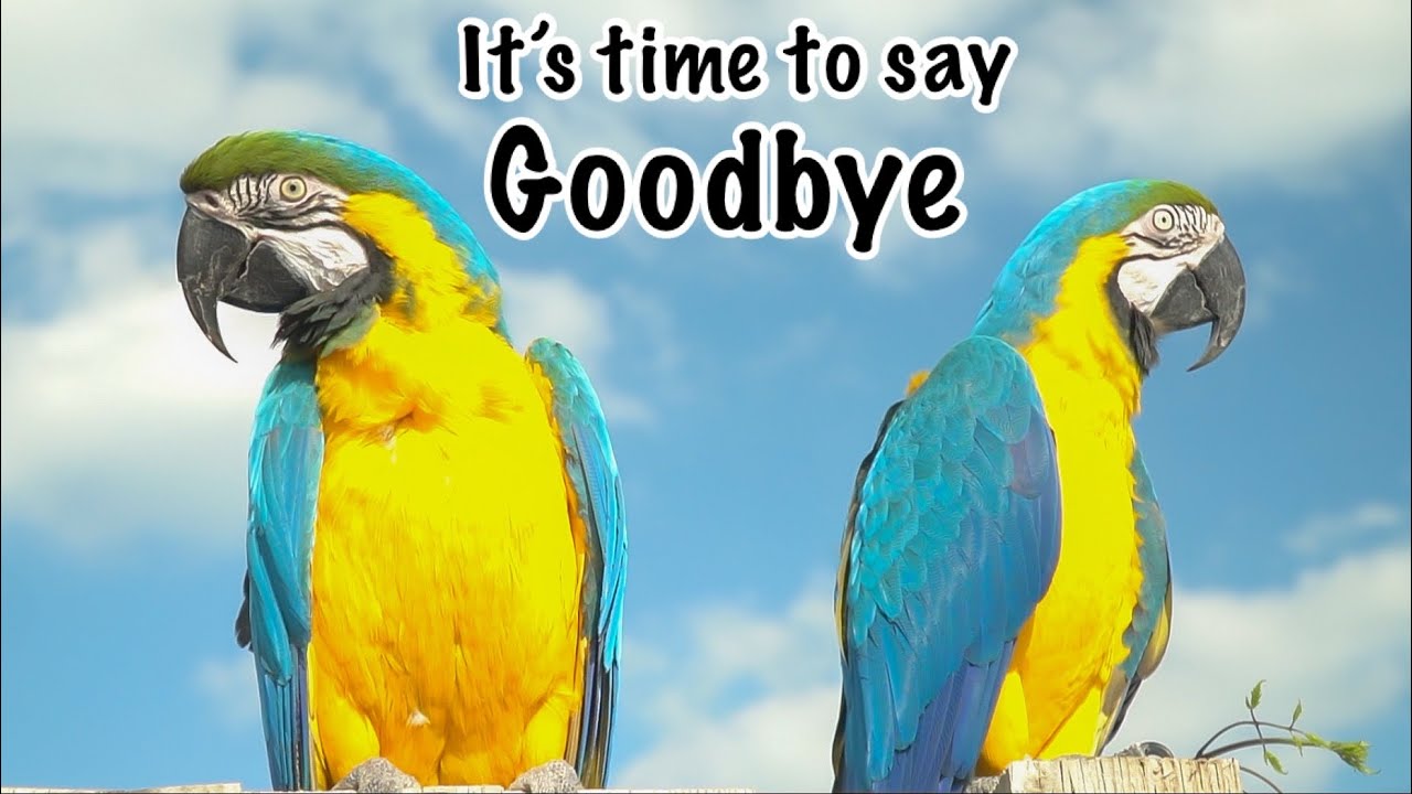 A Better Life For All Of Us || Our 2nd To Last Video