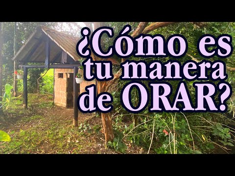 Video: ¿Cómo se usa cesar en una oración?