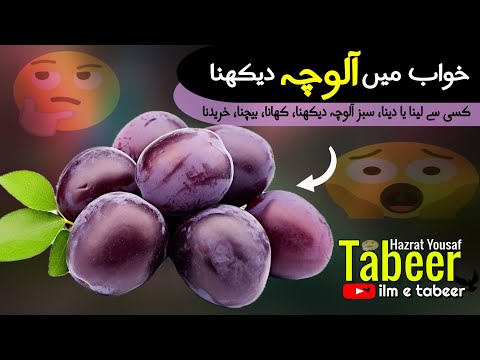 Dreaming Of Plum Alocha Ilm E Tabeer Hazrat Yousaf A S 