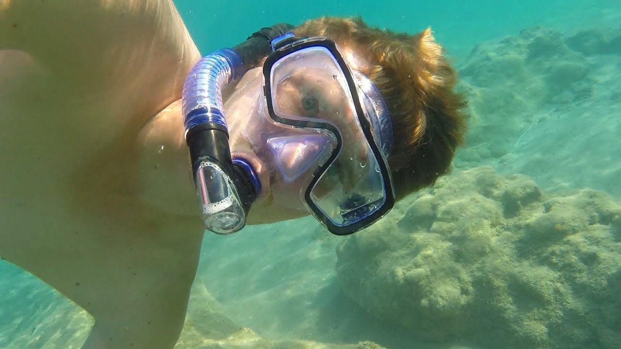 Don't drink and Snorkel...Snorkel first YouTube