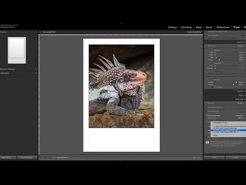 How to Print from Lightroom Classic by Julieanne Kost I Episode 5