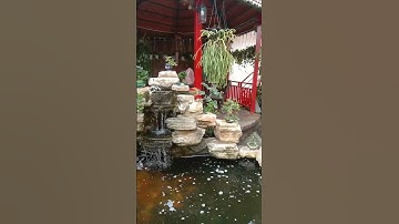 Hồ Cá Koi Đá Cổ Thạch - Tuyệt Tác Của Thời Gian