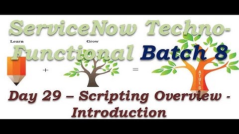 Batch 8 | Day 29 | Scripting Overview - Introduction | Techno Functional Training | San Diego