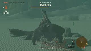 How to defeat Molduga in Zelda without getting hit