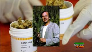 Box salute: Cannabis, dalla prescrizione medica al farmaco - 16.12.2016