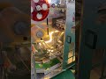 Polish green tea bag packaging machine, fruit tea pyramid tea bag packaging machine #teabag #tea