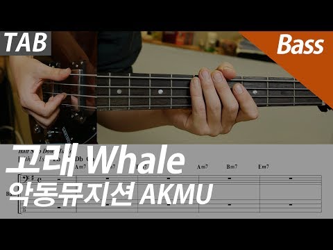고래 Whale (Bass 베이스) - 악동뮤지션 AKMU