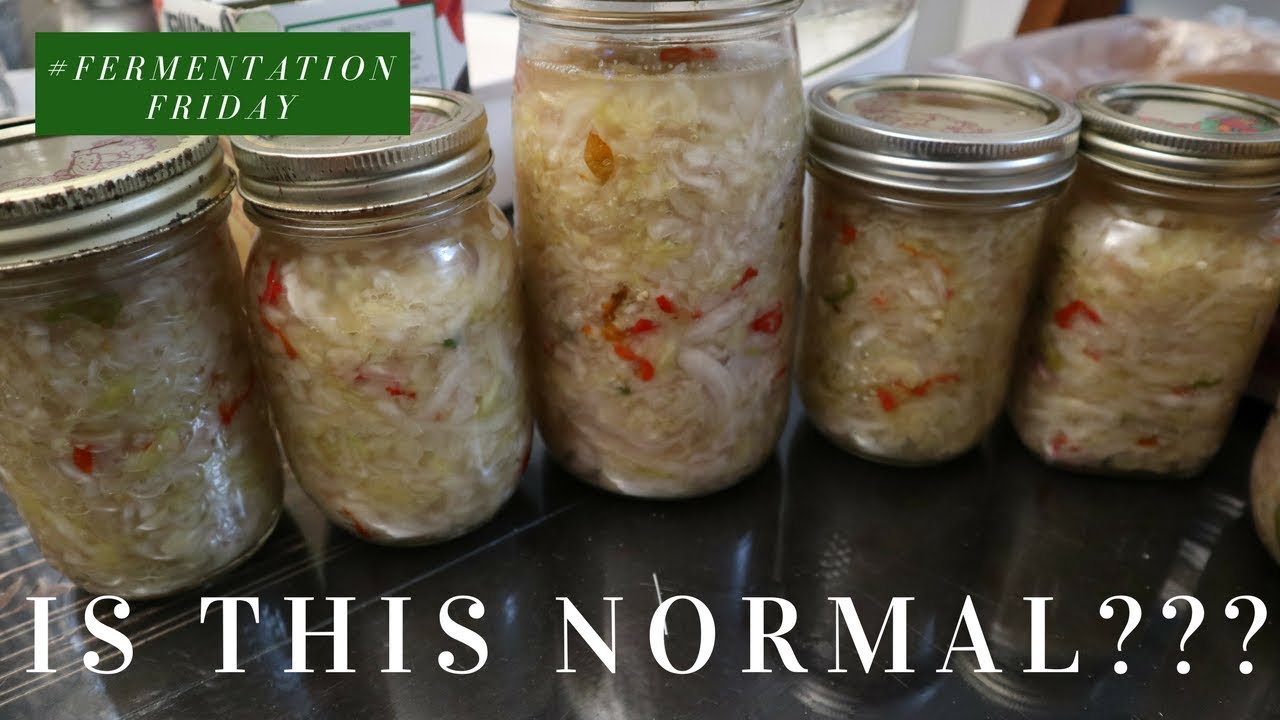 SAUERKRAUT: 1ST TIME FERMENTATION DIARY FERMENTATION FRIDAY - YouTube