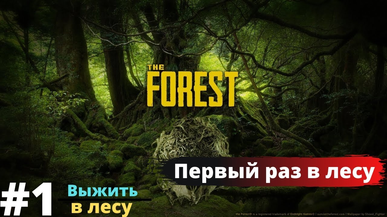 Машина в the forest