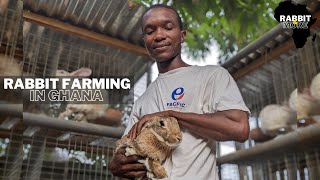 Modern Way of  Raising Rabbits in Ghana