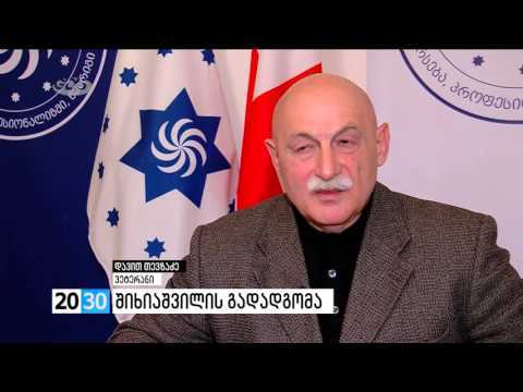 შიხიაშვილის გადადგომა /2030 (30.03.2016.)/