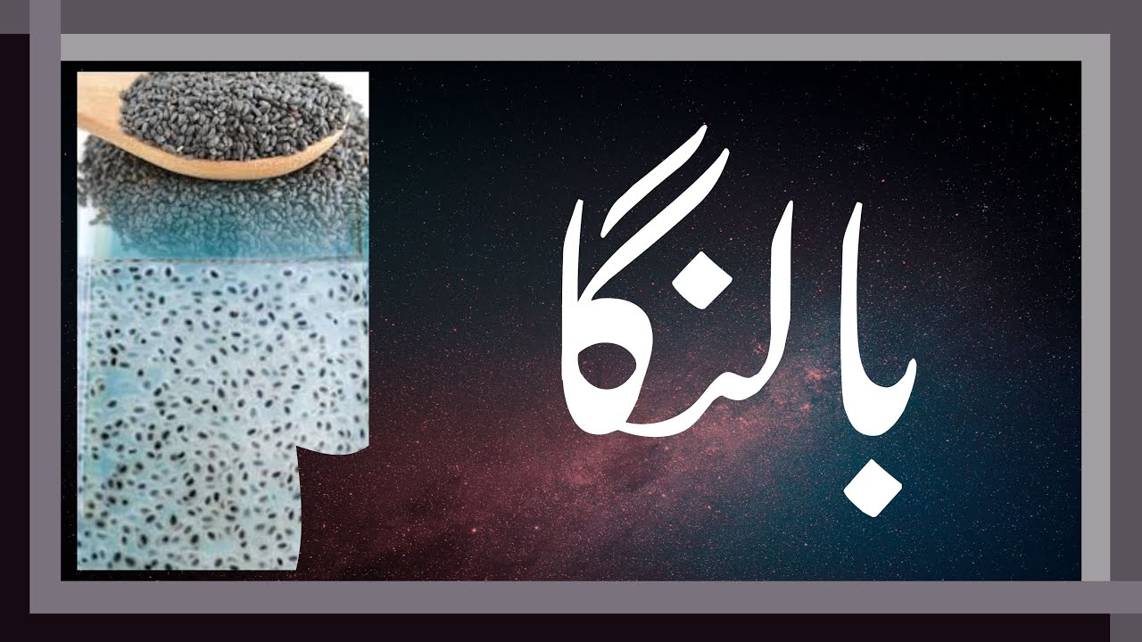 Basil seeds Benefit in urdu Home Remedies Tukham Malanga Ke Fayde