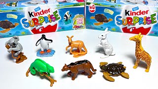 Sea Animals, Wild Animals, Natoons, Chameleon, Mountain Lion, Penguin, Koalas, Giraffes, Rabbit