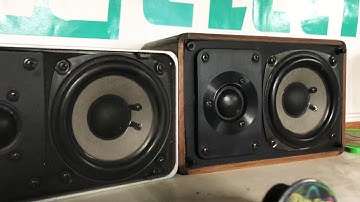 Linear Power on the bench with some Realistic Minimus 7 and OZ Vector 1-27-19