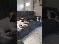 just chilling
