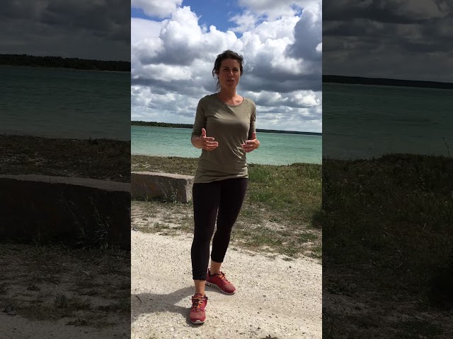 Paus-Nia: 13 leder energiboost