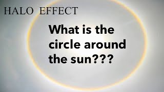Halo Effect around Sun| Did anyone notice?
