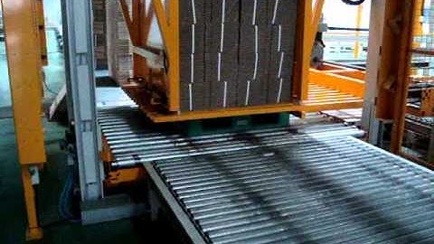 WSA - Woosung Autocon Single Pallet Inserter