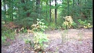 Homes for Sale - 3748 Chilhowee Trl Maryville TN 37803 - Betty Baker
