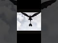 Wath id capcut edit httyd nightfury choolhttyd3 httyd1ytshorts transdragoni