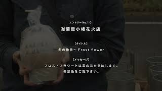 競技１０ 有 菊屋小幡花火店 タイトル 冬の絶景 Frost Flower メッセージ フロストフラワーとは霜の花を意味します 冬景色をご覧下さい さぬき花火浪漫21 花火競技大会 Youtube