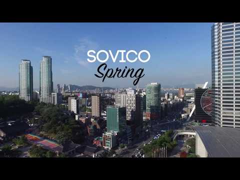 Sovico Spring blossoms again