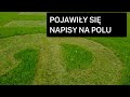 POJAWIŁY SIĘ NAPISY NA POLU ZOO ŁĄCZNA