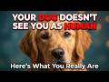 Your Dog Doesn’t See You as Human – (Here’s What You Really Are to Them)