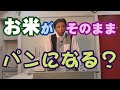 お米でパンを焼く【米粉ではなくお米が直接パンになる？】