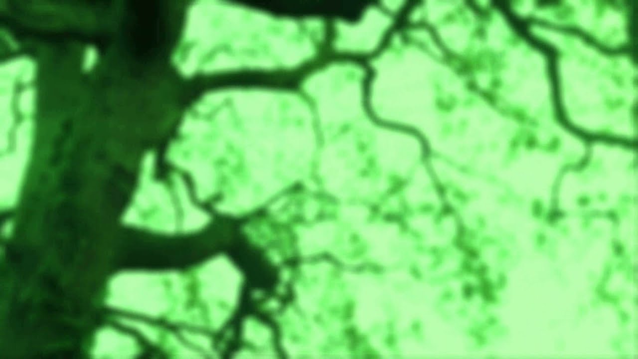 Civilian Zen - 'Emptyland' (Official Music Video) (NEW SONG 2021)