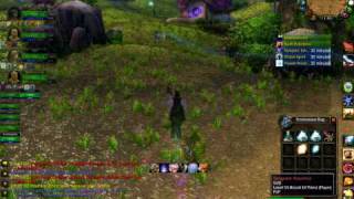 wow-20100622-1855403.avi