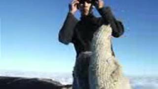 Puncak crmai
