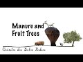 Bela Pedra, my Portuguese Farm: Part 9 (Manure and Fruit Trees)