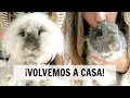 Volvemos a casa + jaula nueva - VLOG