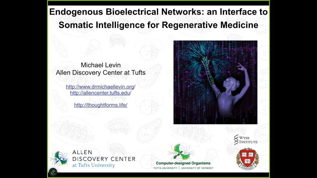 "Endogenous Bioelectrical Networks: an interface to somatic intelligence" by Michael Levin