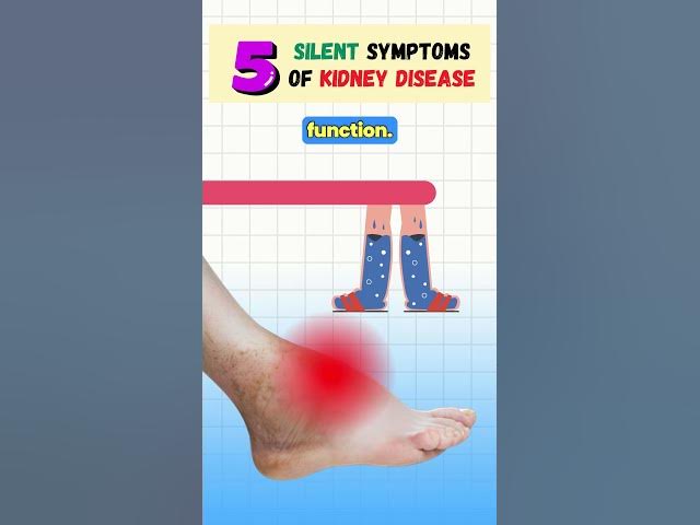 Outline Video 5 Silent Symptoms of Kidney Disease | Chronic Kidney Disease | CKD #shortsfeed #kidney #health