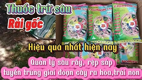 Cách quản lý bệnh tuyến trùng,rệp sáp đất, trên cà phê,cao su,mắc ca và cây ăn quả . Thuốc Rải gốc