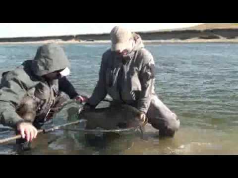 Huge Sea Trout 30pound , Fly fishing , Rio Grande, Tierra del Fuego, Villa Maria Record 2009