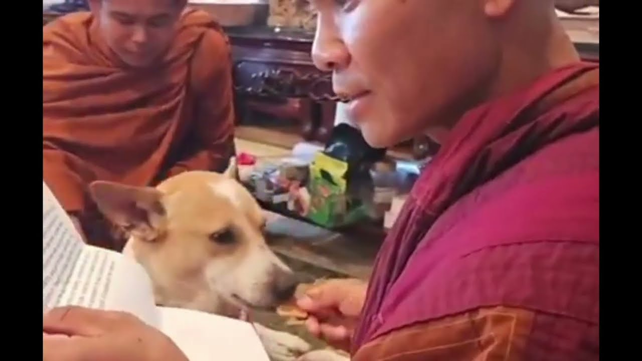  Opening Gifts from Our SupportersMay you and all beings be well, happy and at peace.