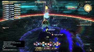 FINAL FANTASY XIV: A Realm Reborn T13 PLD POV