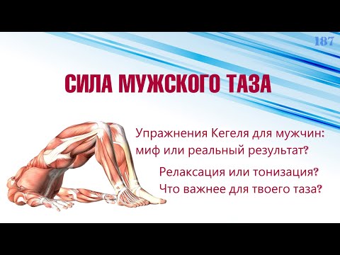 Сила мужского таза. Упражнения Кегеля - миф или реальный результат?